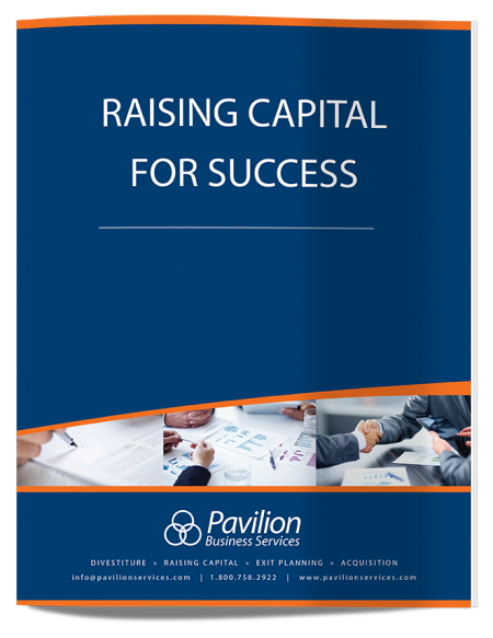 raisingcapitalforsuccess-cover-ds-lo