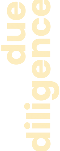 due diligence due diligence