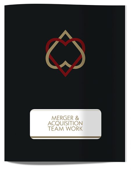 merger-and-acquisition-team-work-cover-2.00-ds-lo