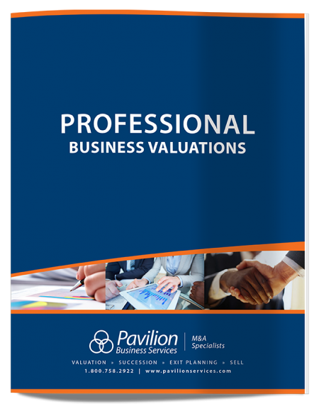 profbusvaluations-cover-ds-lo
