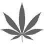 cbdthc cbd thc