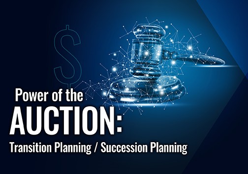 webinar-auction