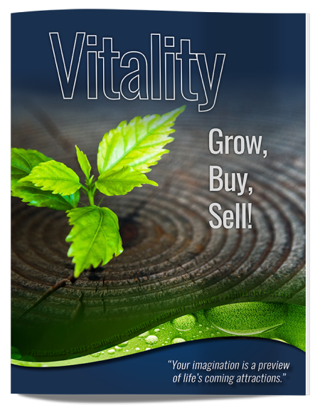 vitality-cover-4.41-ds-lo